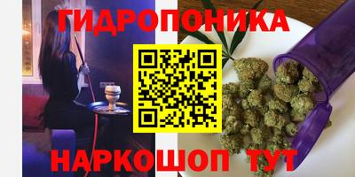 PSILOCYBIN Северобайкальск