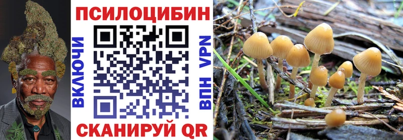 Псилоцибиновые грибы мицелий  Липецк 
