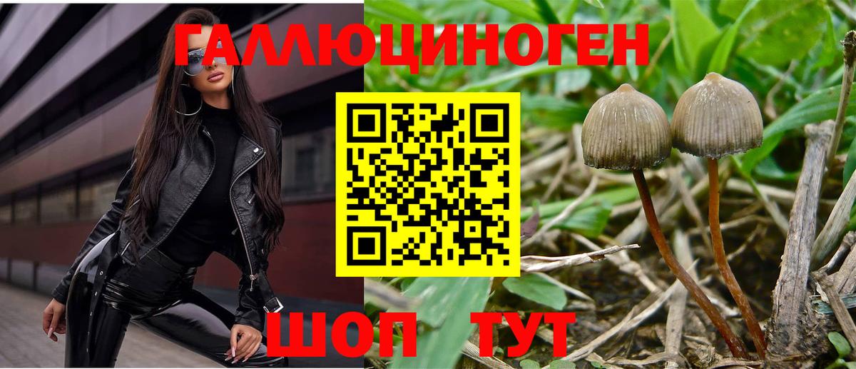 Галлюциногенные грибы ЛСД Липецк