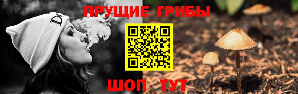 Галлюциногенные грибы MAGIC MUSHROOMS  Вход с VPN  Липецк  Галлюциногенные грибы Psilocybe 
